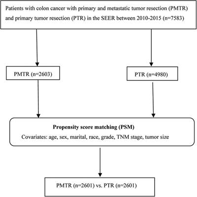 Survival benefit of primary and metastatic tumor resection for colon cancer with liver metastases: A population based, propensity score-matched study